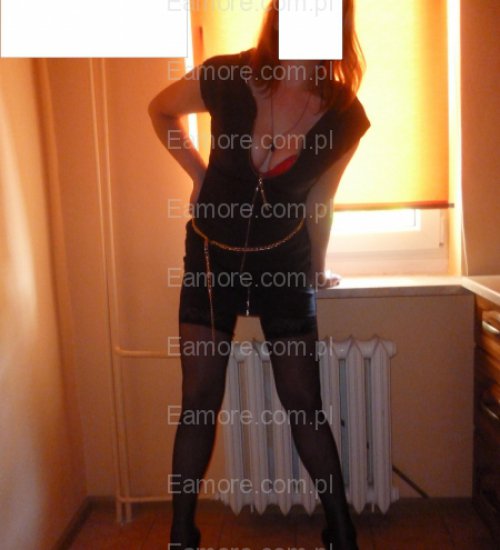 Pani szuka pana Puławy