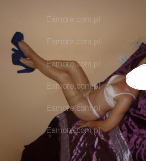 Pani szuka pana Puławy