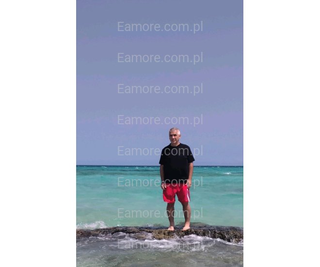 Pan szuka pani Katowice