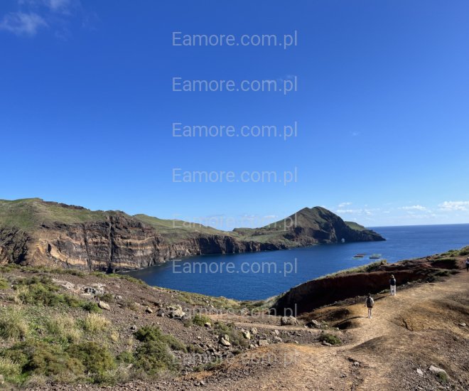 Pan szuka pani Poznań