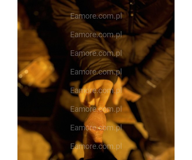 Pan szuka pani Radzionków