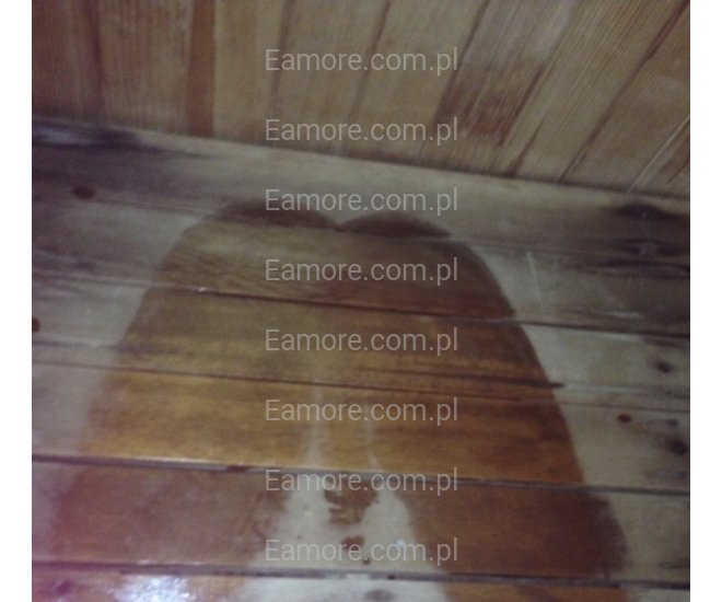 Pan szuka pani Wrocław