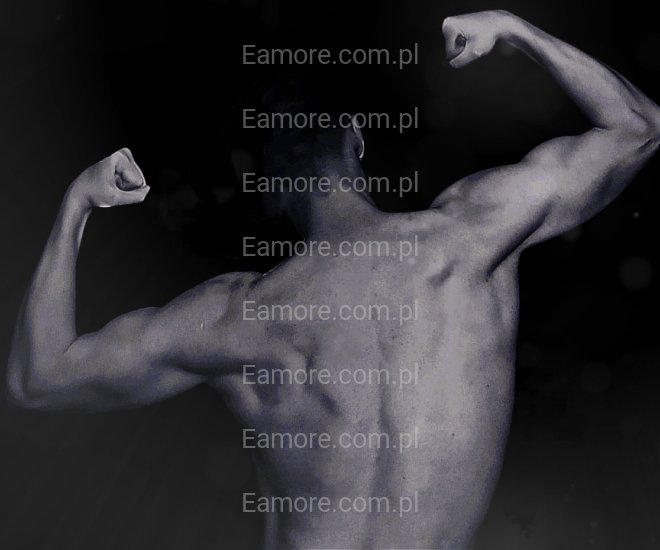 Niewolnik szuka dominy Poznań