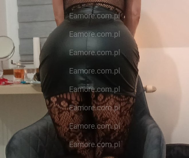 Pani szuka pana Katowice