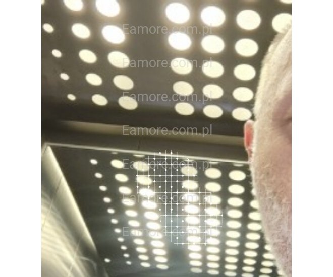 Pan szuka pani Łódź