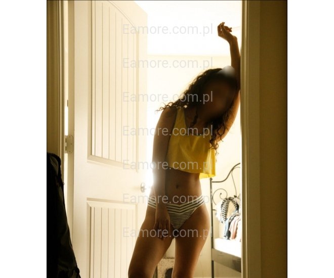 Pani szuka pana Katowice