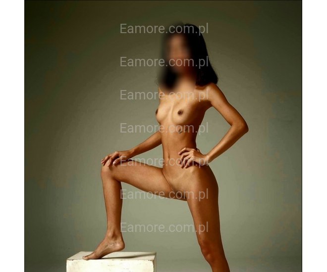 Pani szuka pana Katowice