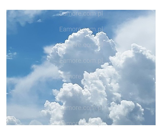 Pan szuka pani Wadowice