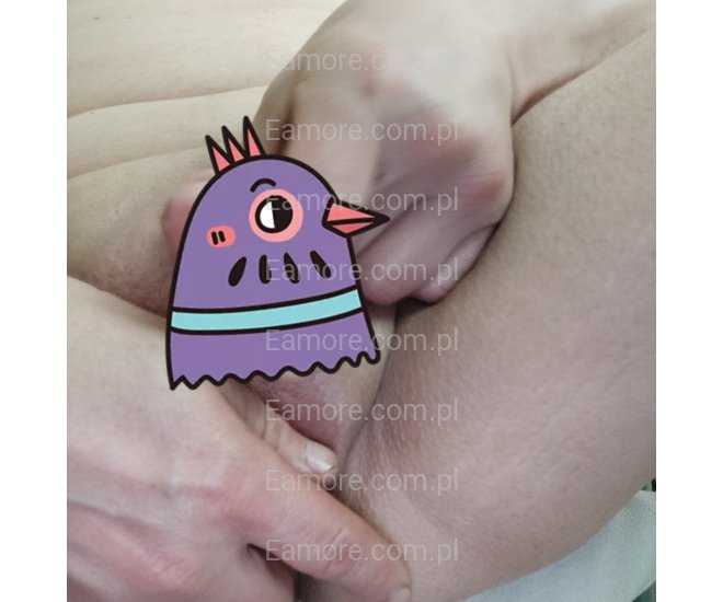 Pan szuka pani Radom