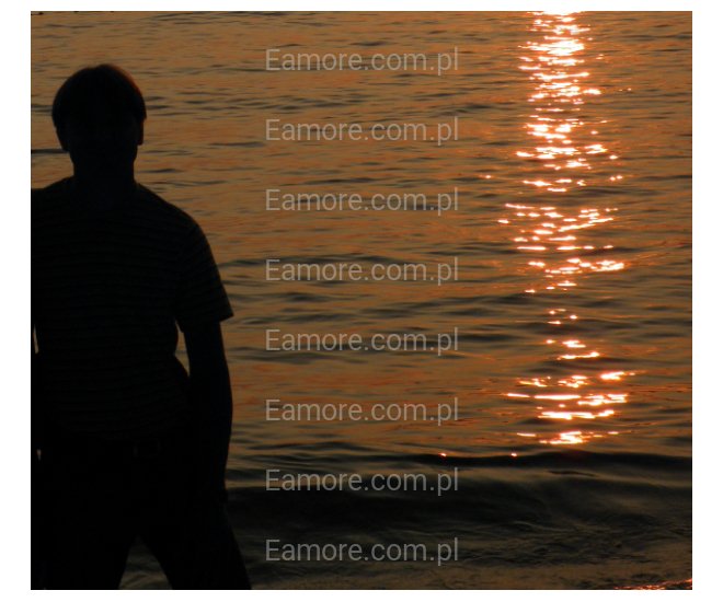 Pan szuka pani Śląskie