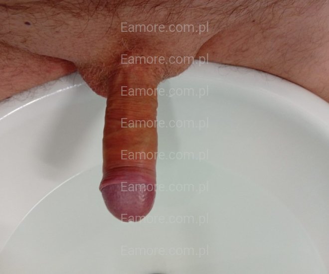 Pan szuka pani Szczecin