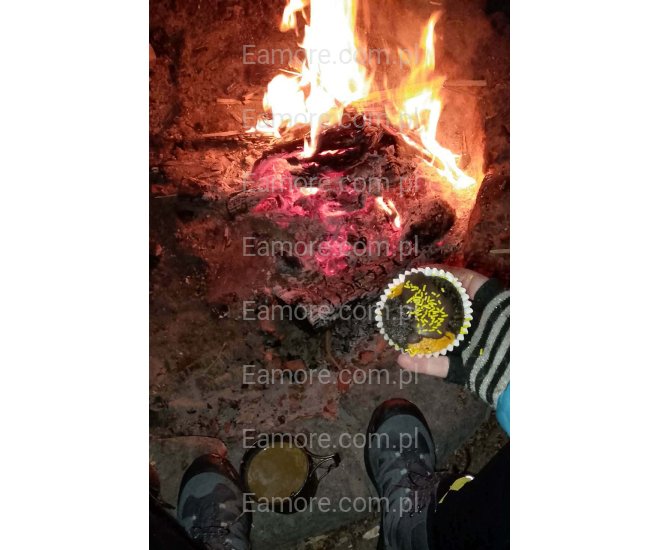 Pani szuka pana Opole