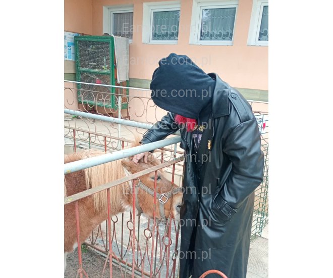 Pani szuka pana Katowice