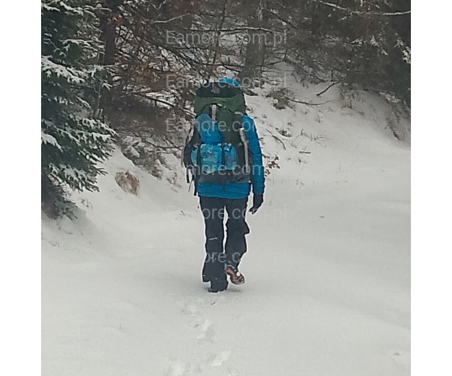 Pani szuka pana Katowice