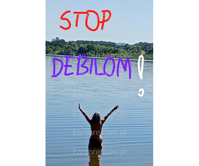 Pani szuka pana Katowice