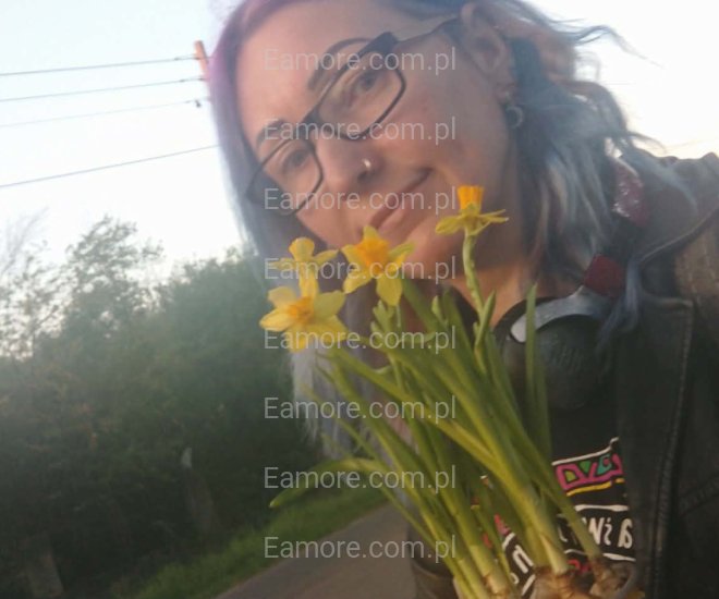 Pani szuka pana Gliwice