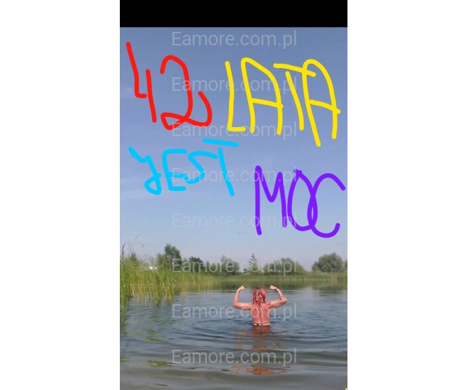 Pani szuka pana Gliwice