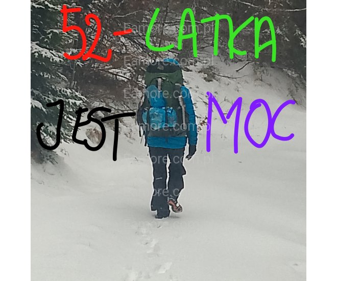 Pani szuka pana Gliwice