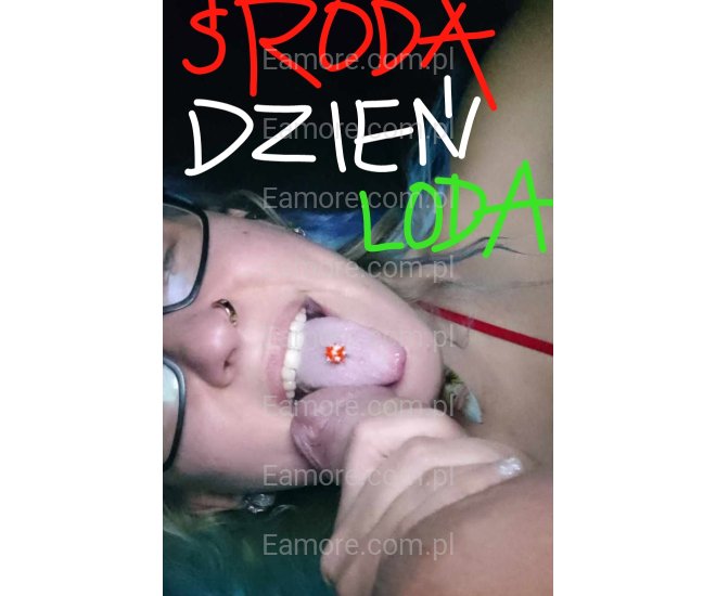 Pani szuka pana Katowice