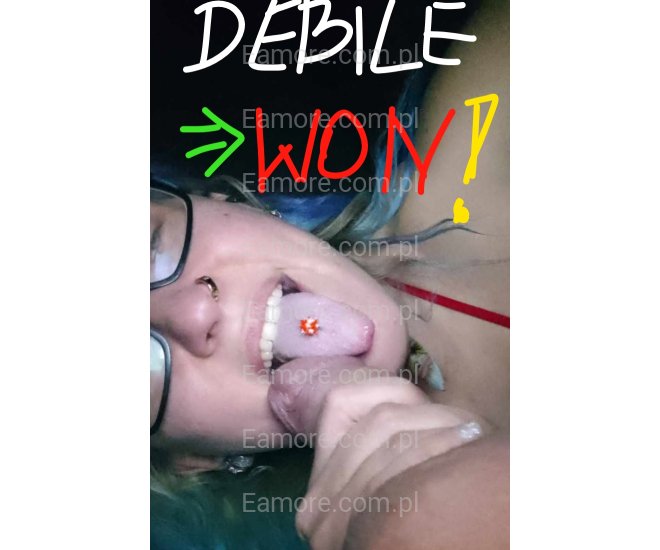 Pani szuka pana Śląskie