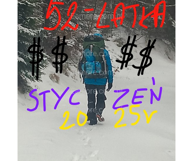 Pani szuka pana Śląskie