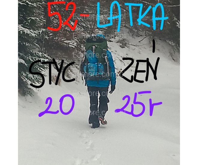 Pani szuka pana Śląskie