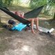 Pani szuka pana Gliwice