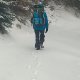 Pani szuka pana Opole