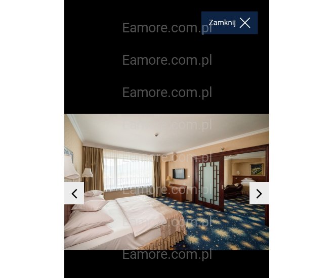 Pan szuka pani Katowice