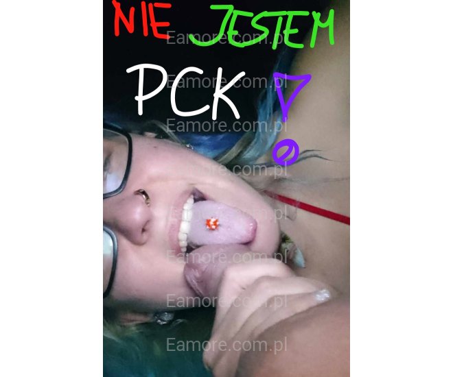 Pani szuka pana Śląskie