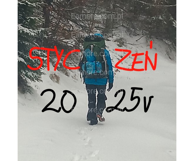 Pani szuka pana Śląskie