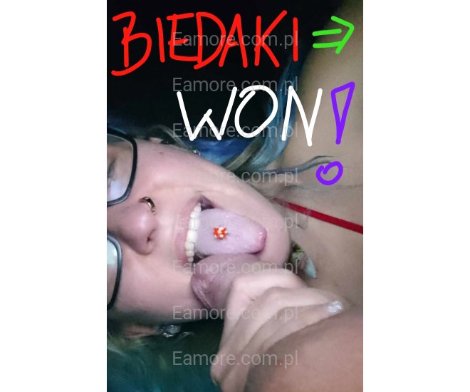 Pani szuka pana Śląskie