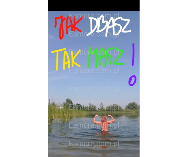 Pani szuka pana Gliwice