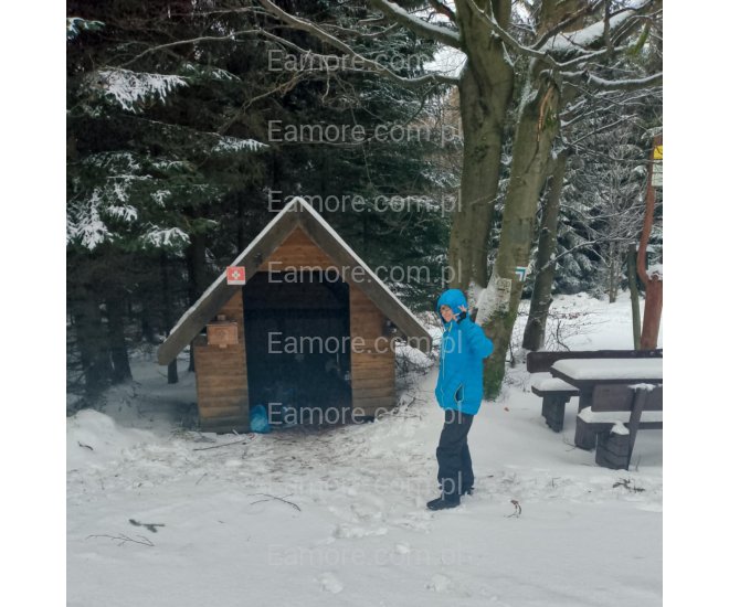 Pani szuka pana Gliwice