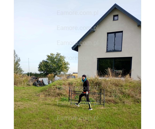 Pani szuka pana Katowice