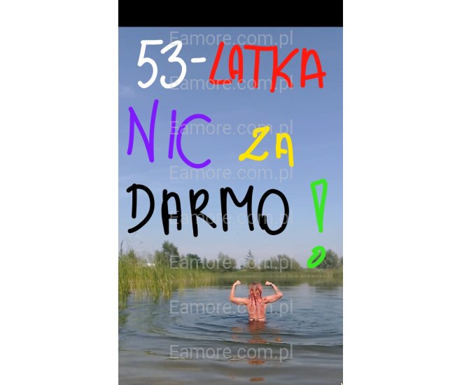 Pani szuka pana Katowice