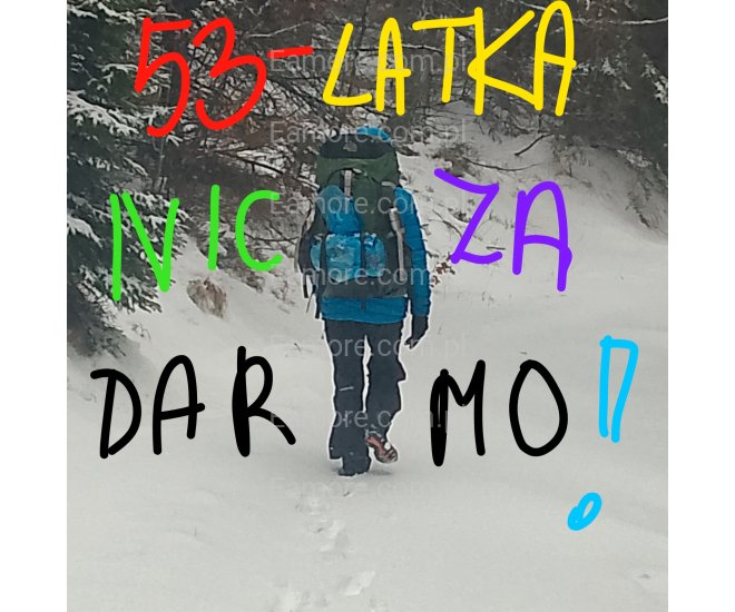 Pani szuka pana Opole