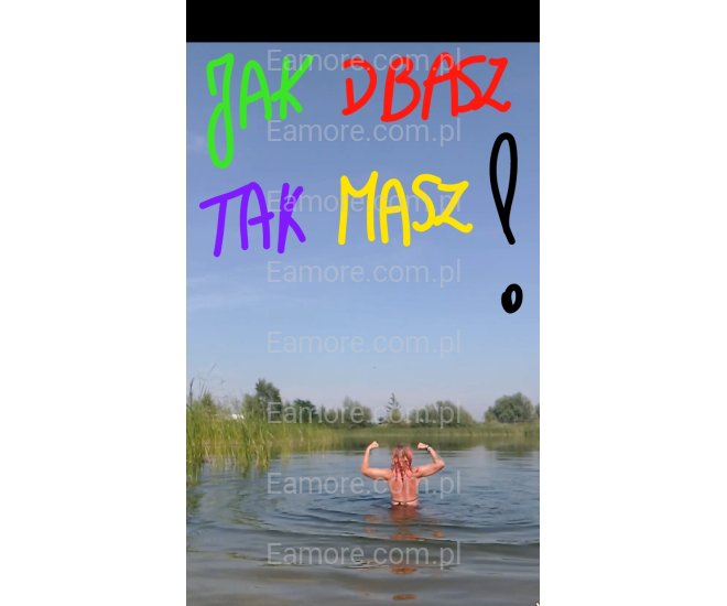 Pani szuka pana Katowice