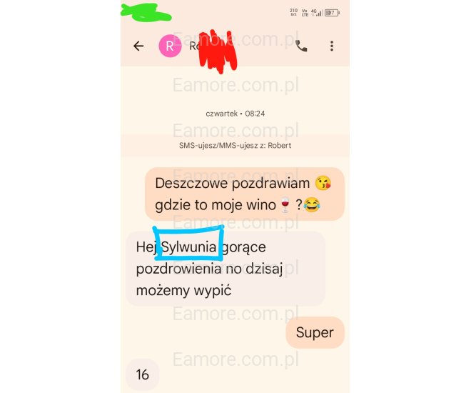 Pani szuka pana Gliwice