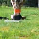 Pani szuka pana Katowice