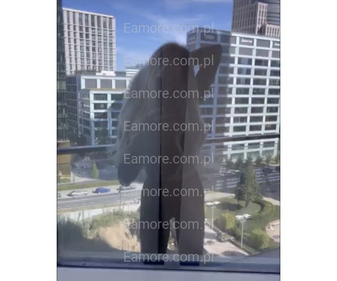 Pani szuka pana Warszawa