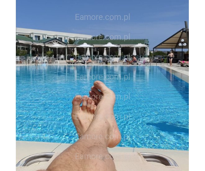 Pan szuka pani Podlaskie