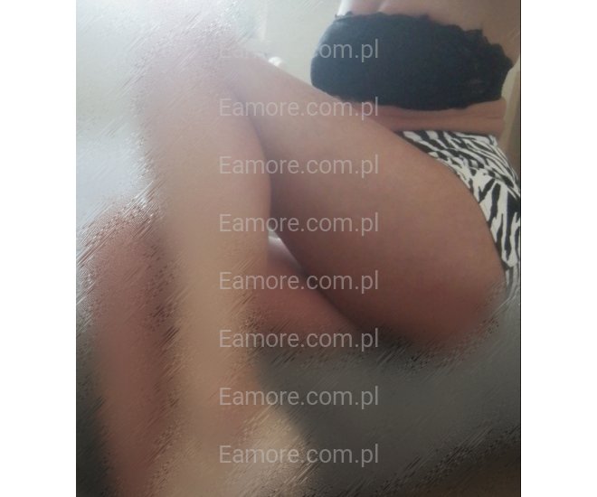 Pani szuka pana Katowice