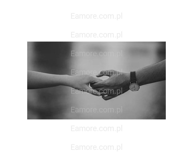 Pan szuka pani Katowice