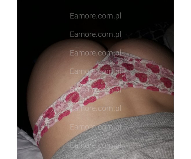 Pani szuka pana Legnica