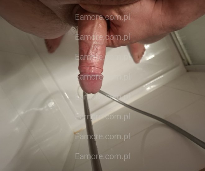 Pan szuka pani Poznań