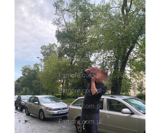 Pan szuka pani Poznań