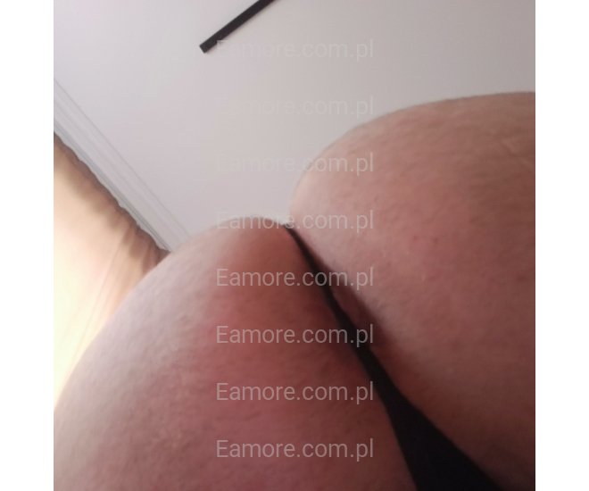 Pani szuka pana Katowice