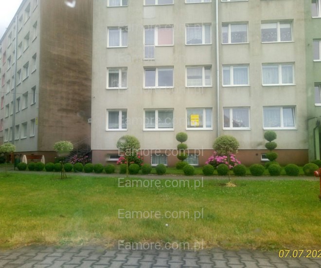 Pan szuka pani Cała Polska
