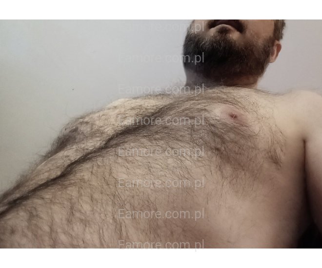 Pan szuka pana Śląskie